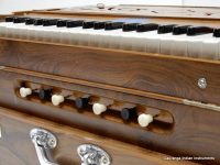 DSCN5304 Indiaas harmonium